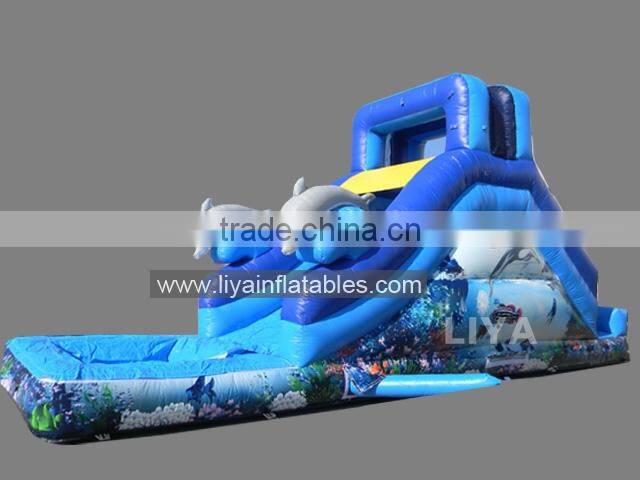 Most Popular Giant Inflatable Water Slide For Adult