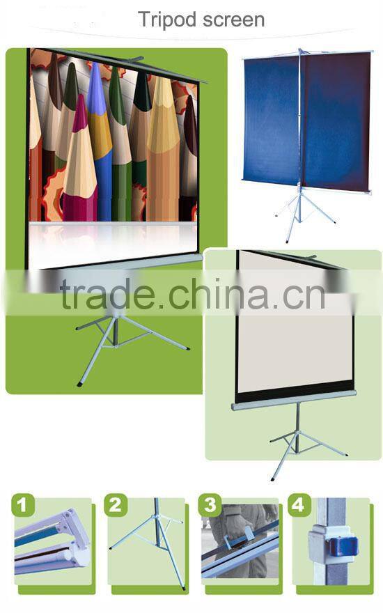 Matte White Electric Projection Screen with remote control