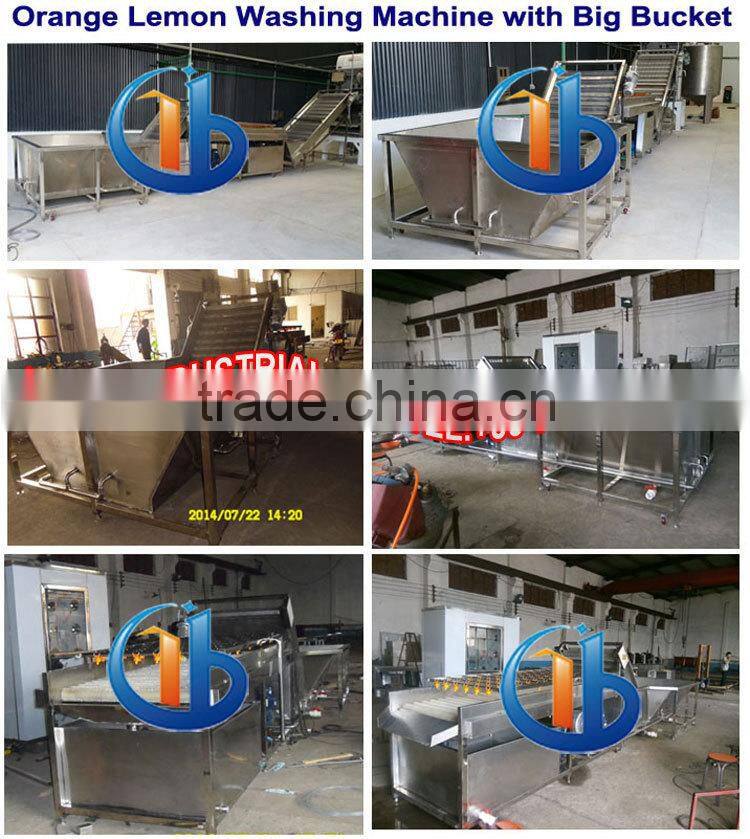 Industrial Orange Lemon Washing Machine(for big batch)