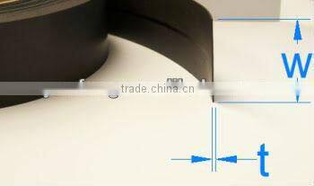 EAS EM library magnetic strip for book