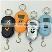 WH-C300 300kg/100g electronic crane digital weighing scale