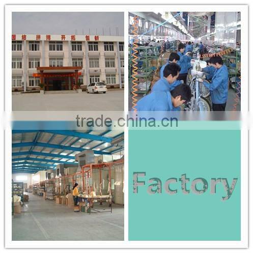 wholesale bicycle parts 200-250w DC Brushless hub motor(SWX105)