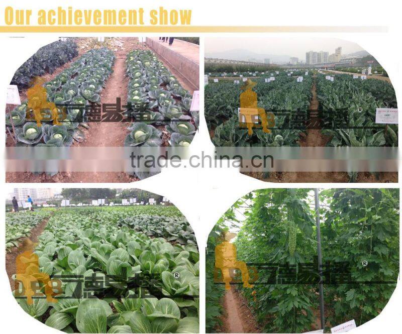 China professional trailed vegetable planting machine for saving cost