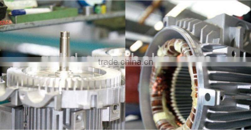 2LV61-H06,rotary ring vacuum pump,oil-free vacuum pump