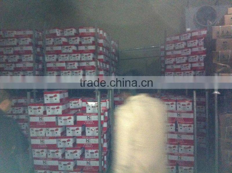 Farmland Fresh red Carrots Supplier