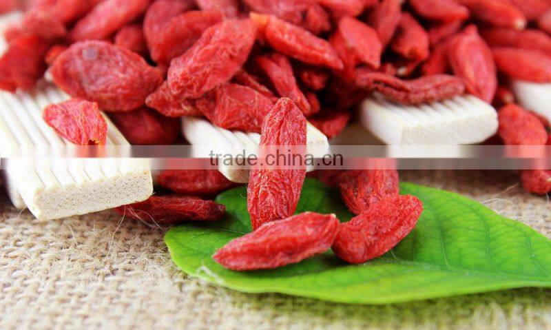 GMP certified organic goji berry all sizes