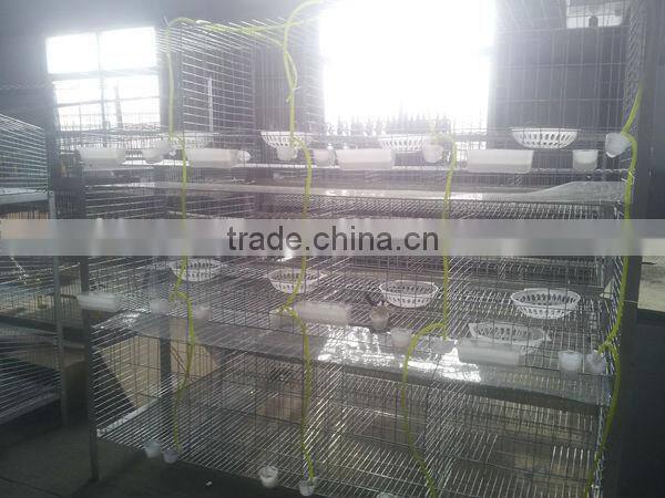 Hot Glvanized Pigeon Cage Innaer 24 years Factory