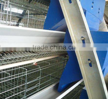 Automatic chicken feeding machine