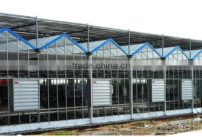 Energy-Saving industrial belt drive wall mounted exhaust fan price