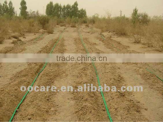 Fruit point underground irrigation