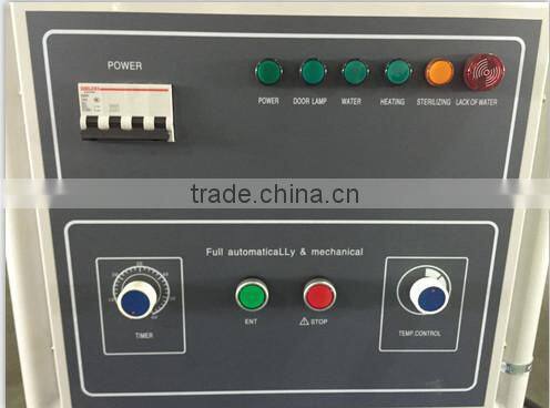 Bluestone Affordable Medical Autoclave Horizontal