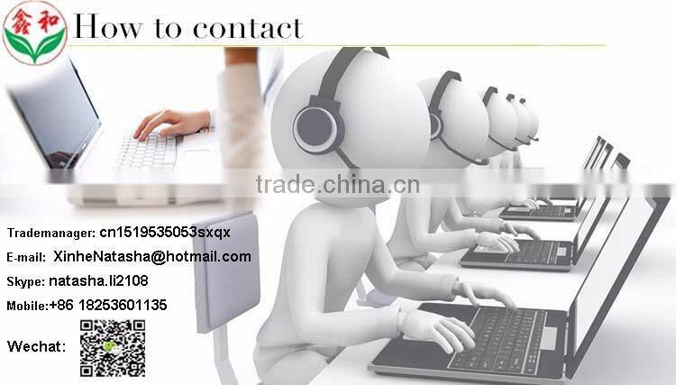 High Quality Tunnel Greenhouse