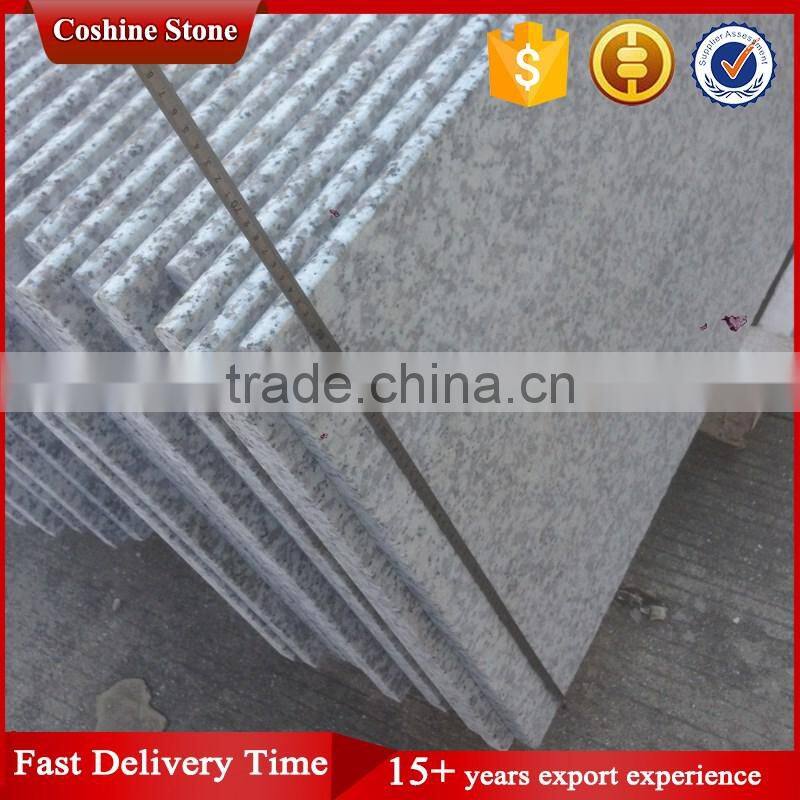 Popular Bala white G439 grey granite countertop