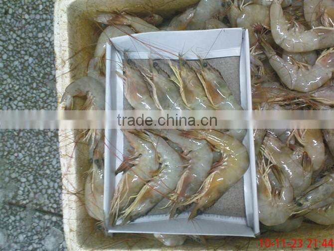 assured quality frozen Vannamei shrimp from China competitive price
