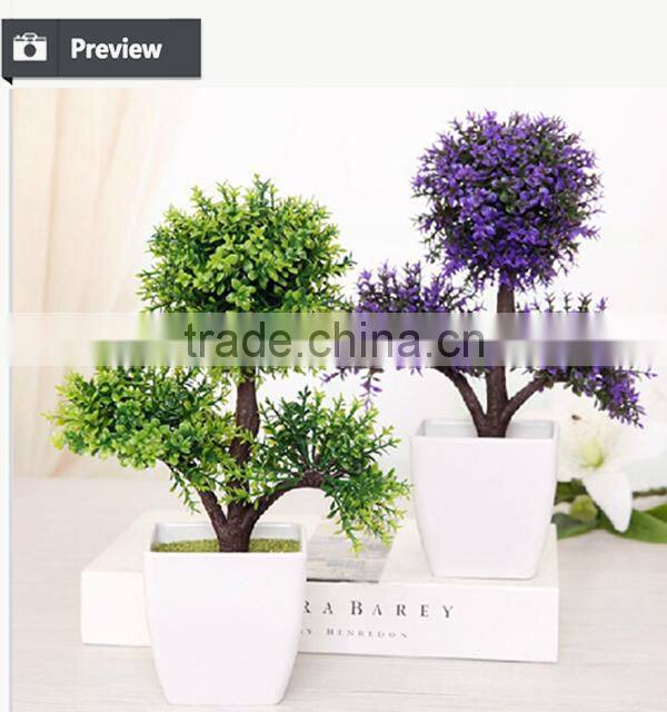 White potted evergreen plants table centerpiece tree