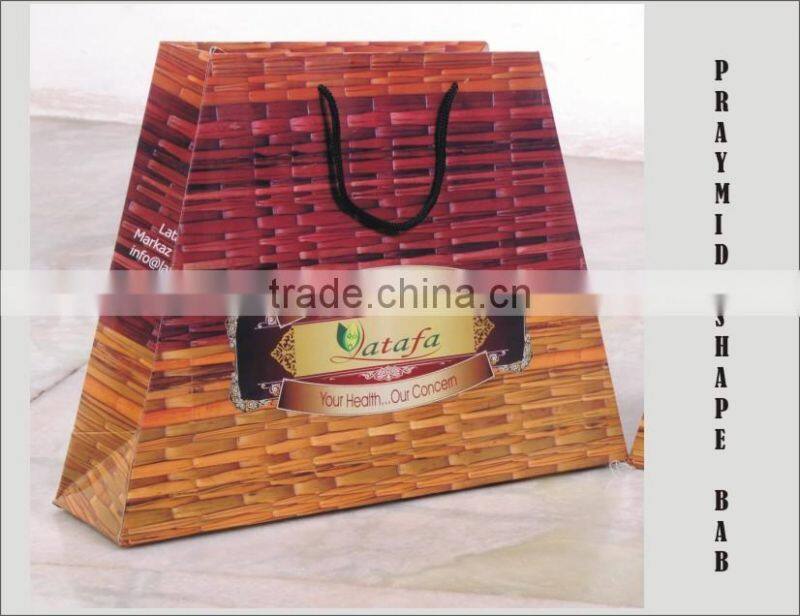 New Design & Shape Promotion Paper Bags