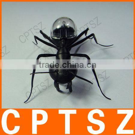 Solar Ant toy