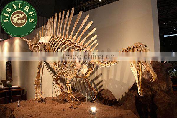 JLDF-0624 High quality dinosaur skeleton for Science museum