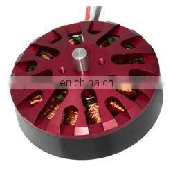 Constar high power 36V bldc motor for ebike