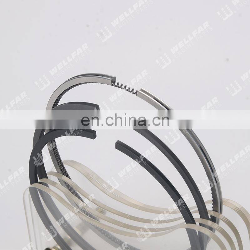 Piston ring use for Renault 1.9L Diesel F8Q Clio R19 80mm