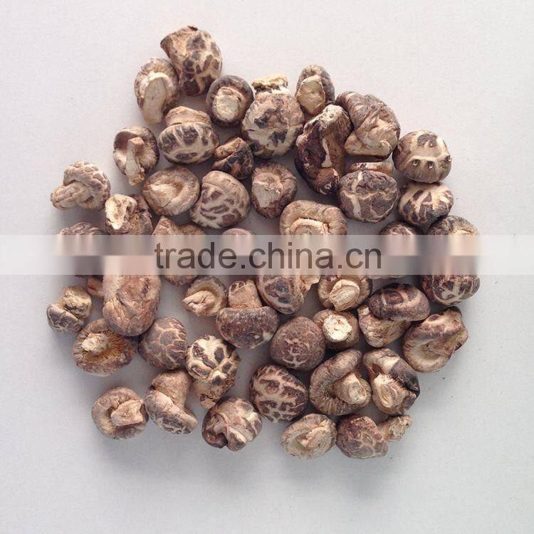 Dried Tea Flower Shiitake Mushroom with Cap 1-2 CM
