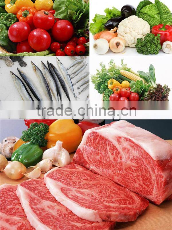 china display case camping freezer