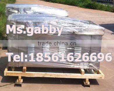 Vacuum Packing Machine /food vacuum package machine