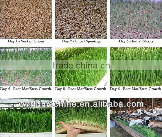 hydroponic sprouting barley machine/barley breeding