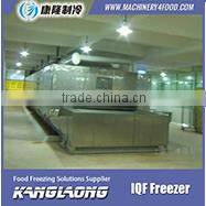 New Brand Vegetables Chiller With Good Quality