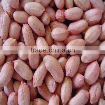 Peanut kernels