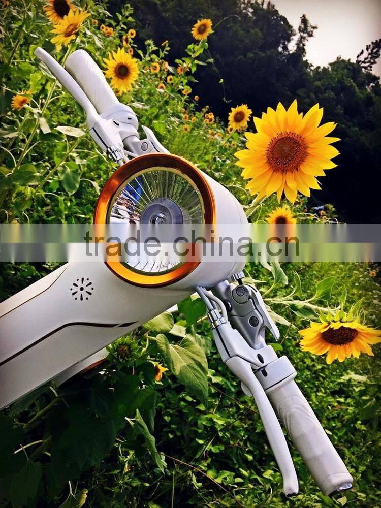 Quality primacy unique security use 2 wheel electric scooter