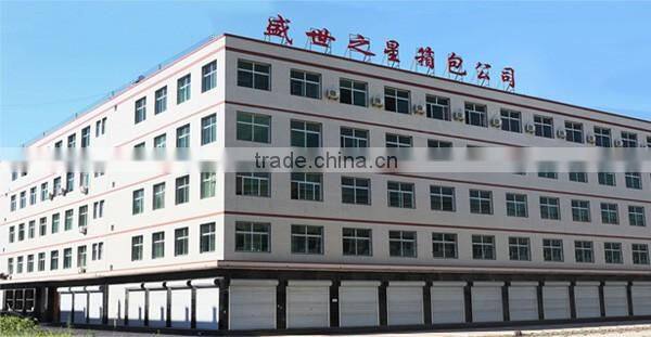 Multi-function fashion laptop bag branded office bag