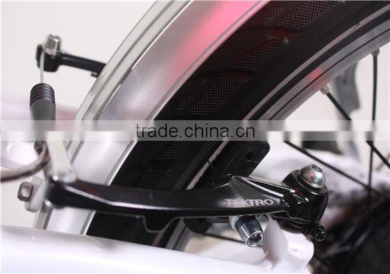 20inch 250w folding electric bike