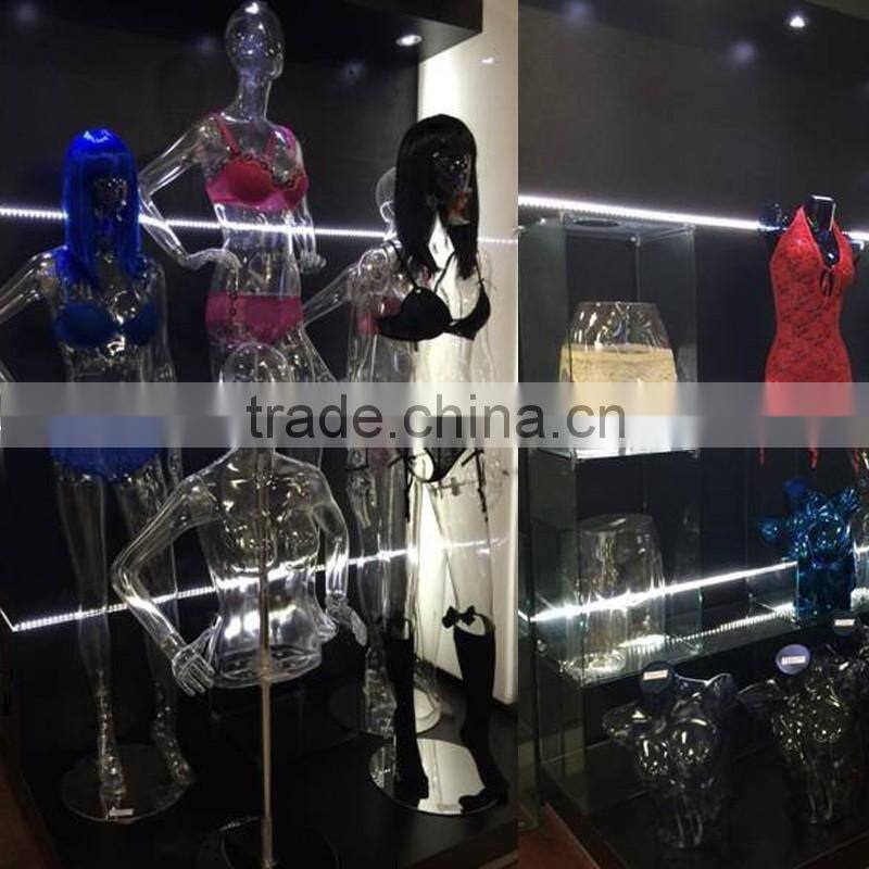 2014 new PC pro-environment transparent male hip mold man torso mannequin