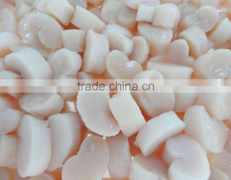 superior frozen ligament of pen shell for bulk sale
