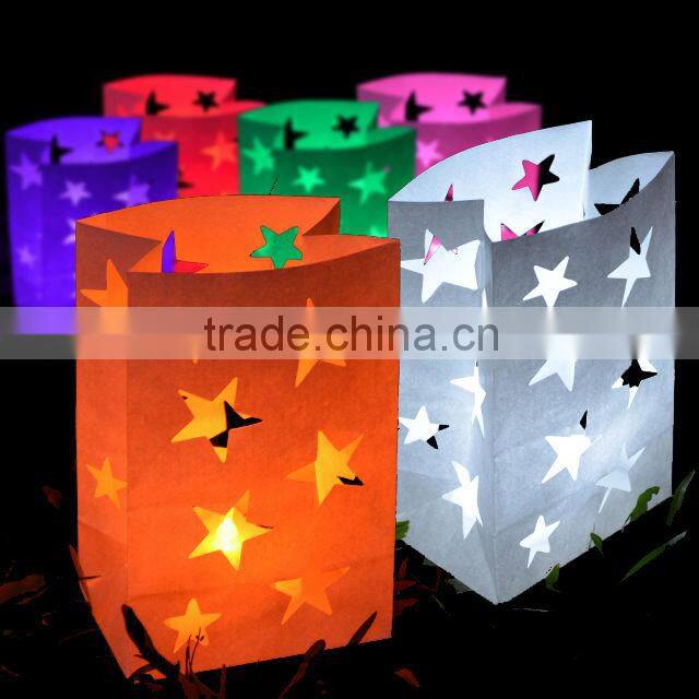 Christmas luminaire candle bags