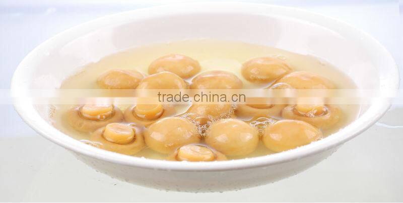 canned mushroom whole