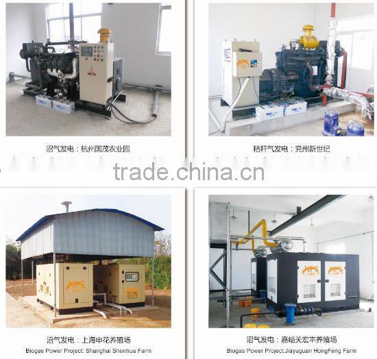 natural gas co-generator