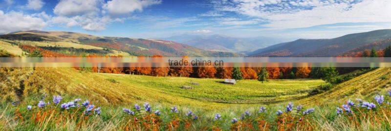 CS03 Customize Home Decoration Wall Hanging Oil Paintings Art For Sale