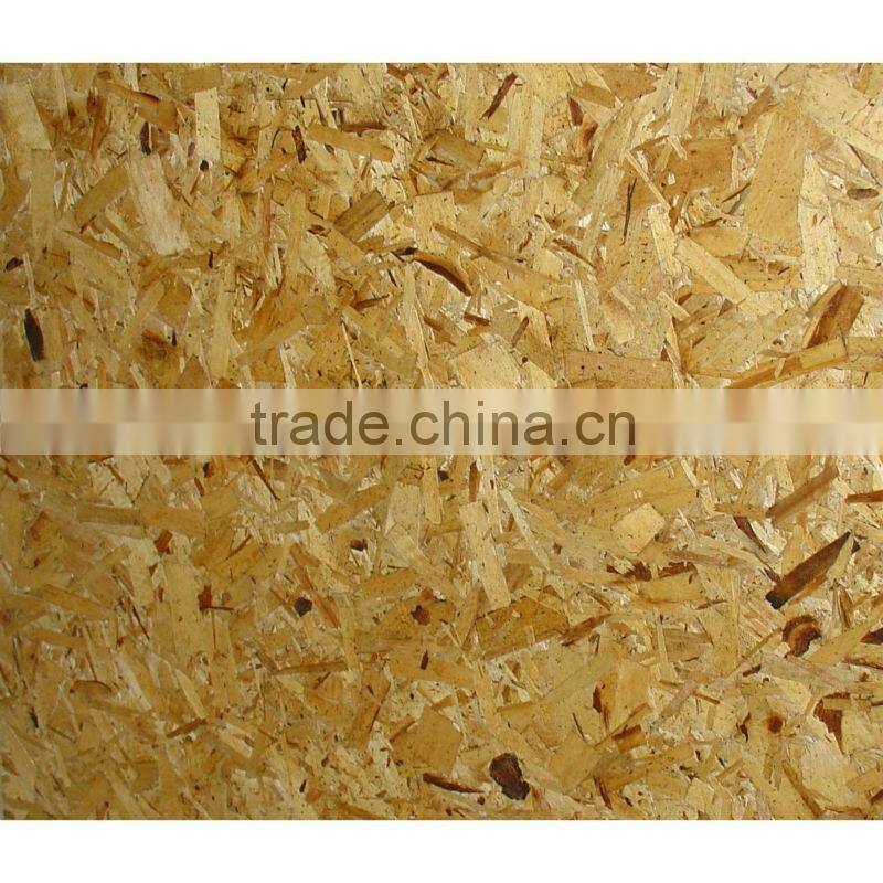 (1220X2440mm) OSB for Construction