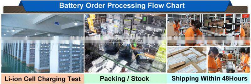 For Panasonic DMW-BCG10 Rechargeable Li-po Digital Battery Pack Factory OEM