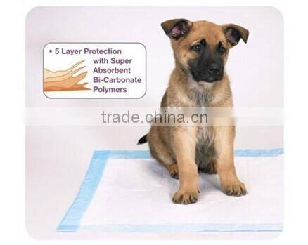 cheap nappies for pet dog