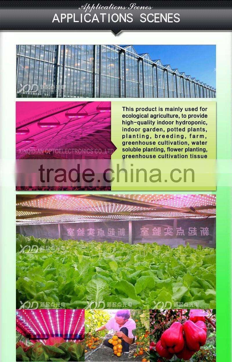 UV Red Blue indoor hydroponic 300w led grow lamp