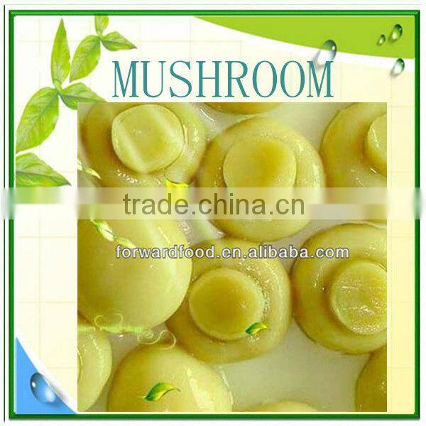 whole straw mushroom canned