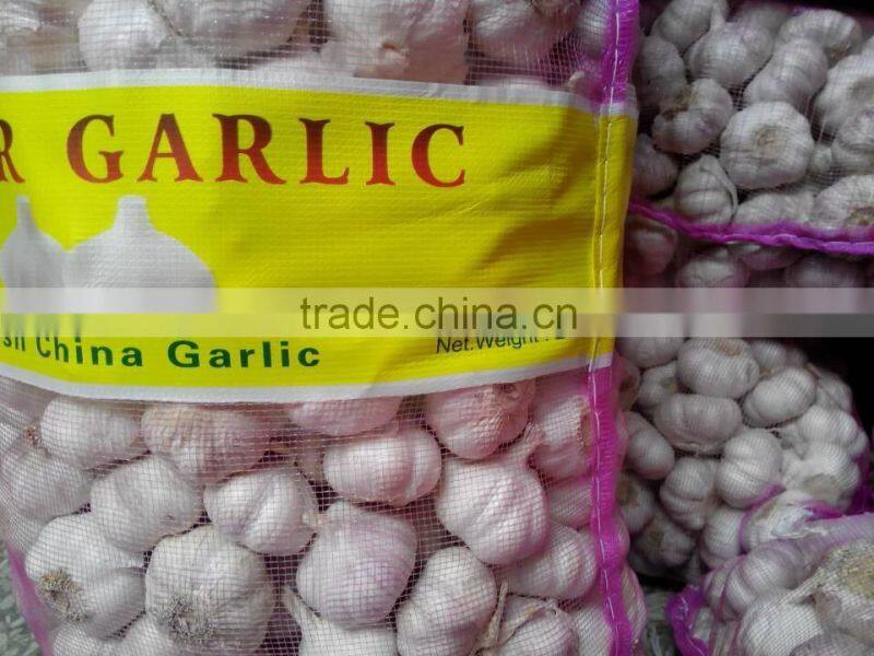 Fresh Garlic natural