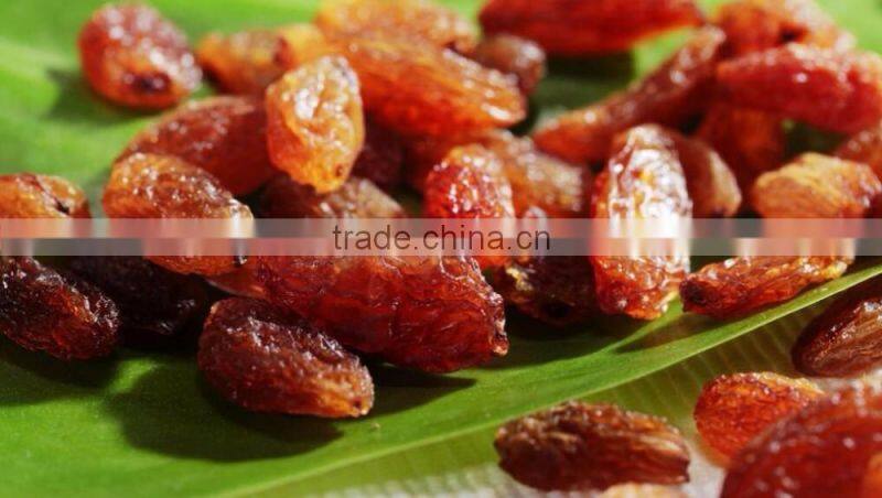 2016 new red raisins hot selling
