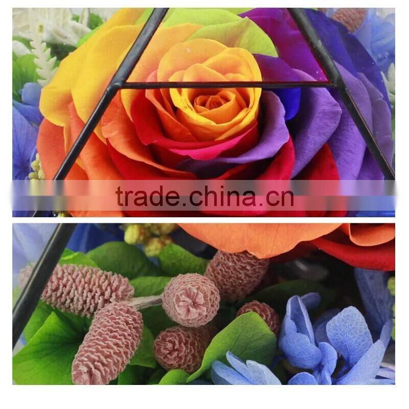 Good market Fresh rose with variety of colors, gift , ring box on sale