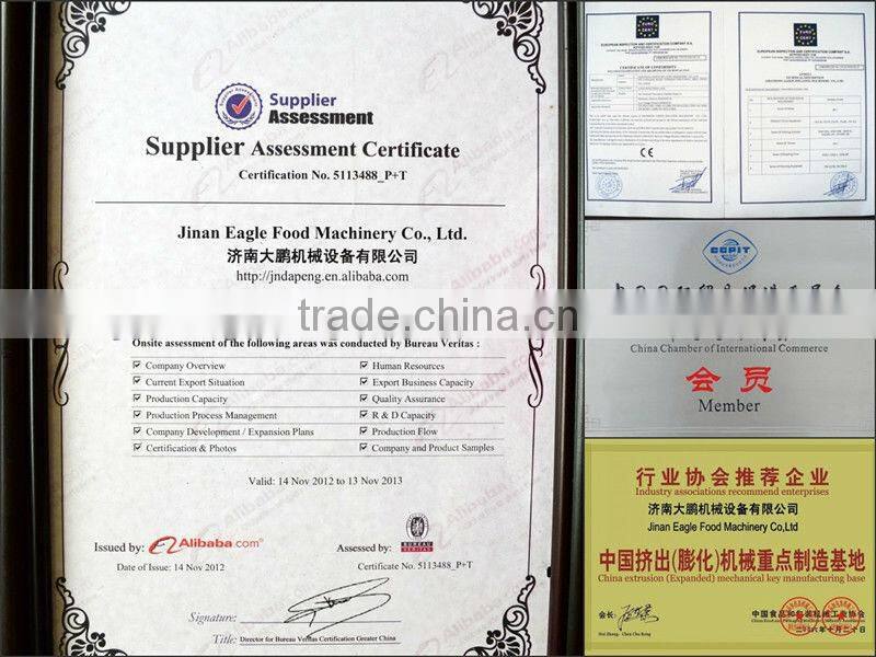 Automatic Continuous Fryer