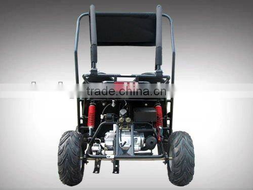 Teenager 110cc go kart PGO