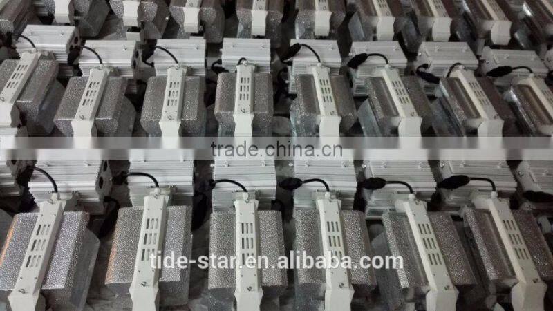 Hot selling 1000w 600w double ended reflector ballast